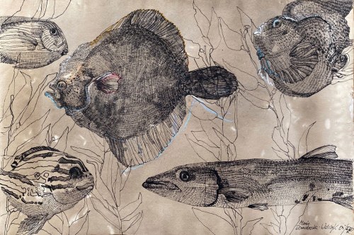 Bez tytułu 3, Maria Domalewska-Walczyk