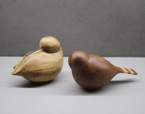 Ptaszynki, 2018, Julia Marek