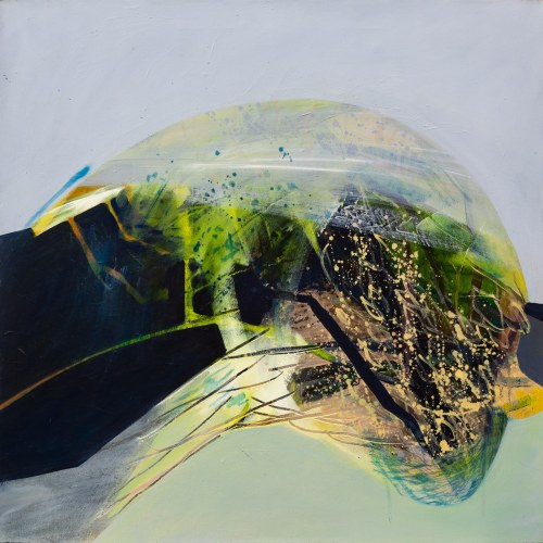 Tkanki 27, 2016, Agata Czeremuszkin-Chrut