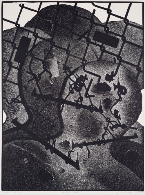 Fizys XII, 1986, Jan Baczyński