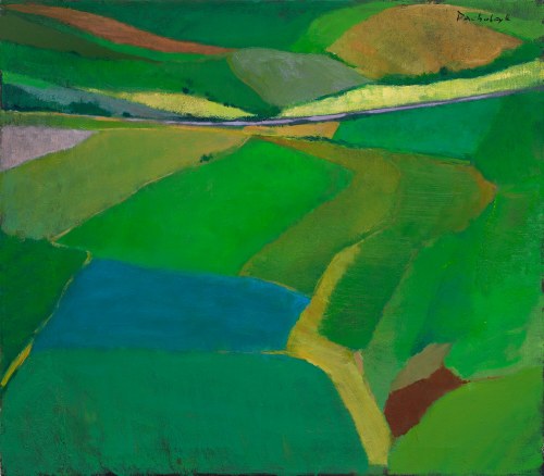 Pejzaż-pola, 2008, Radosław Pacholczyk