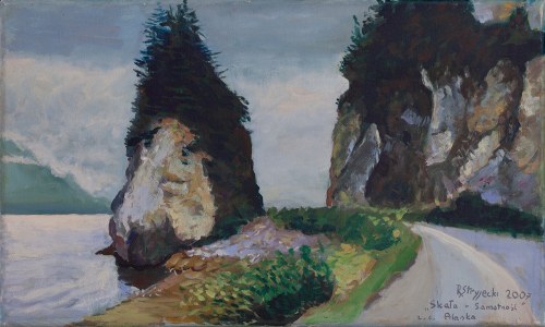 Skała - Samotność, 2007, Rafał Stryjecki