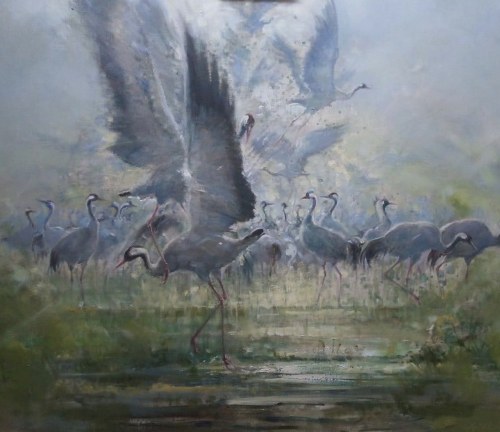 Żurawie, 2019, Daniel Pielucha