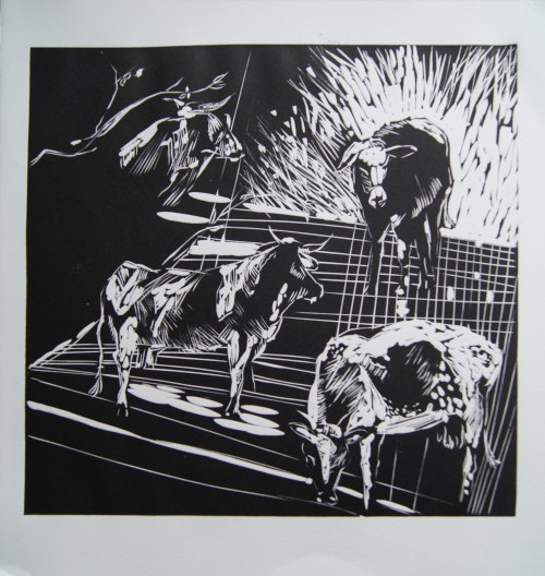 Krowy, 2013, Magdalena Chmielek