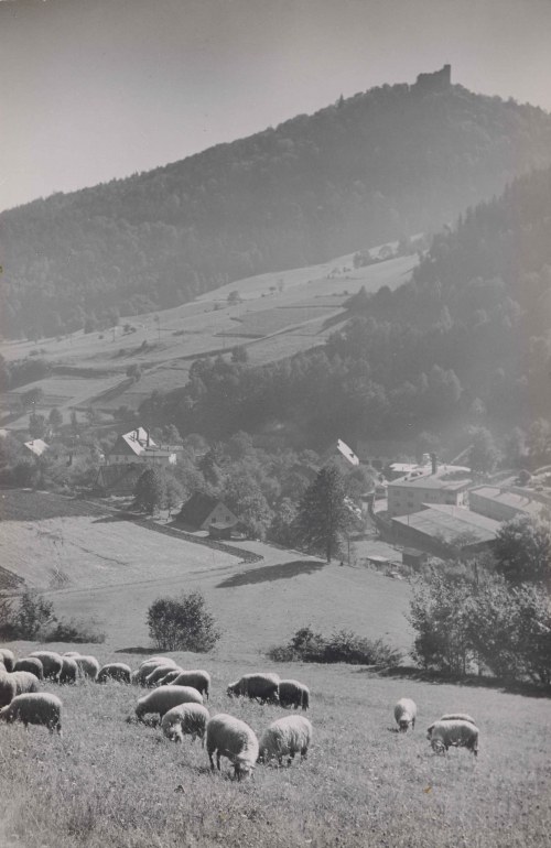 Sobieszów (Chojnik), 1955, Stefan Arczyński