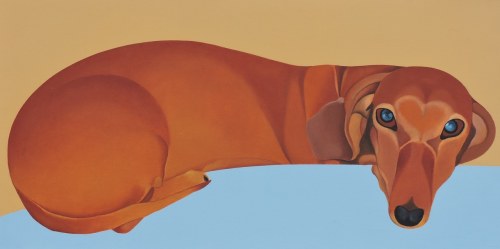 Bajka, 2010, Antoni Janusz Wojnarowski