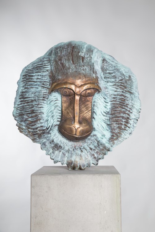 Małpa turecka, 2015-2018, Adam Spała