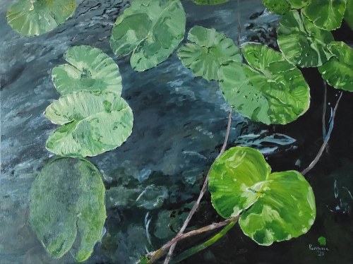 Jelly Lotus, 2020, Pervin Ece Yakacik