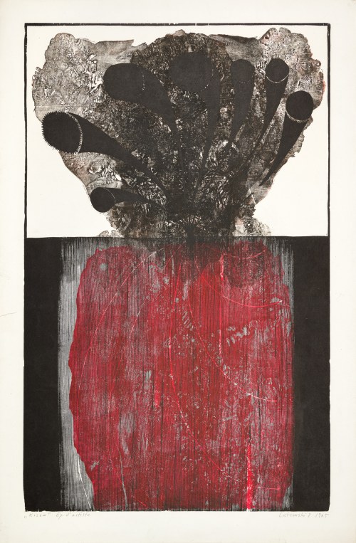 Krzew, 1965, Zbigniew Lutomski