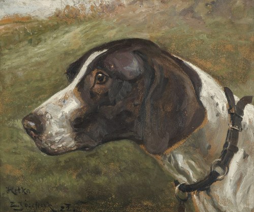 "Hetka - głowa wyżła", Zygmunt Józefczyk