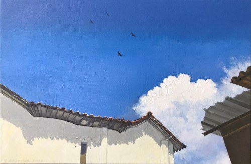 "Barichara", Chrostek Zbigniew