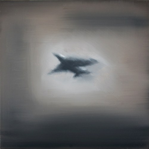F-16, z cyklu Nowy Porządek Świata, 2010, Tomasz Daniec