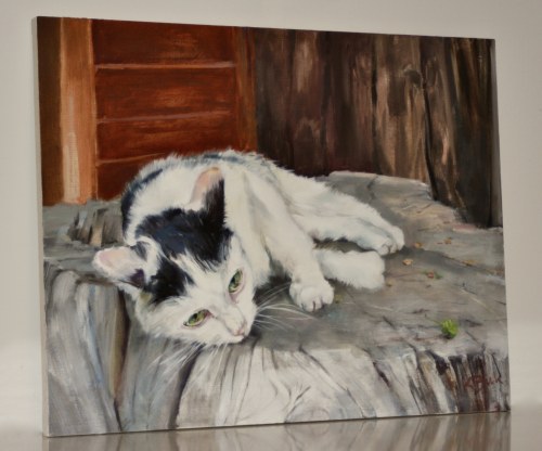 Pet Portrait, Katarzyna Bukowska