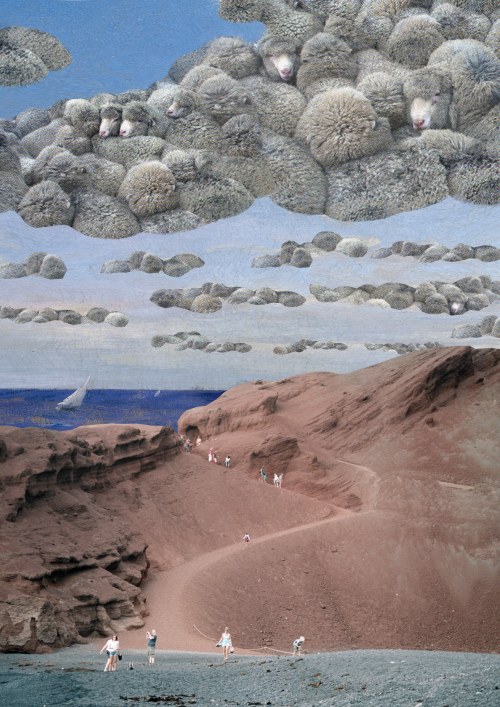 Cumulus, Marta Podolska