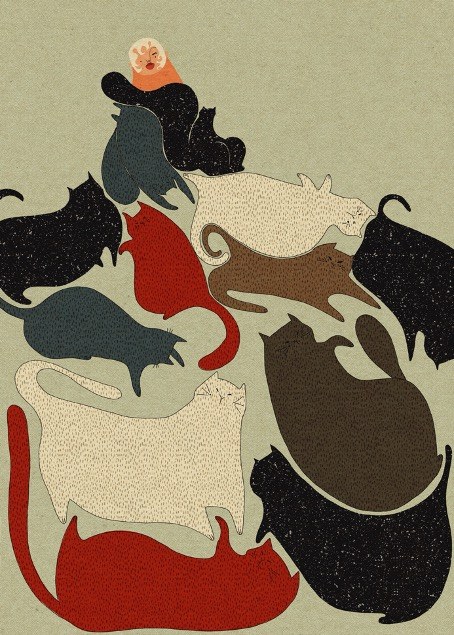 Catknit, Mary Zaleska
