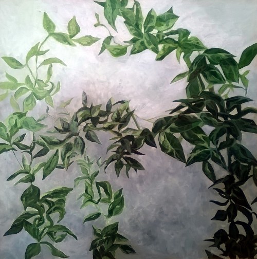 Bluszcz, 2017, Aleksandra Maciaszek