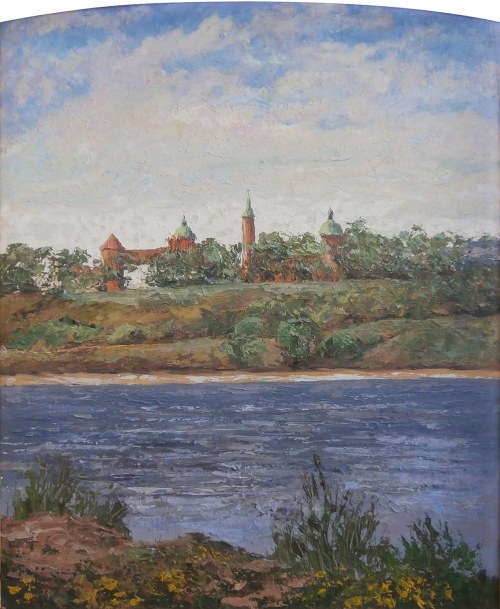 Panorama Płocka, 2013, Jan Bembenista