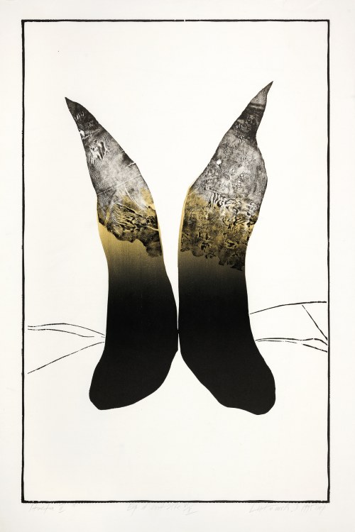 Strefa II, 1995, Zbigniew Lutomski