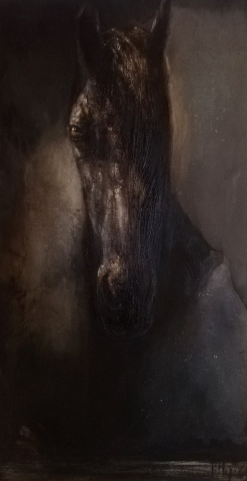 „Czarny koń”, Paulina Mager