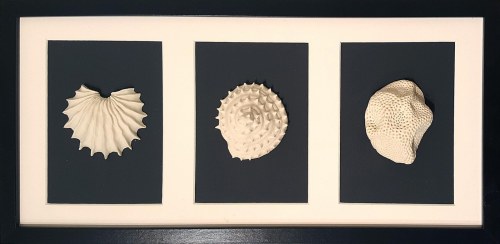 3 Seashells, 2020, Elżbieta Das