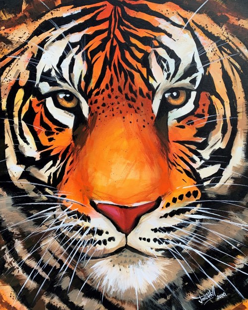 Eye of the tiger, Jose Angel Hill