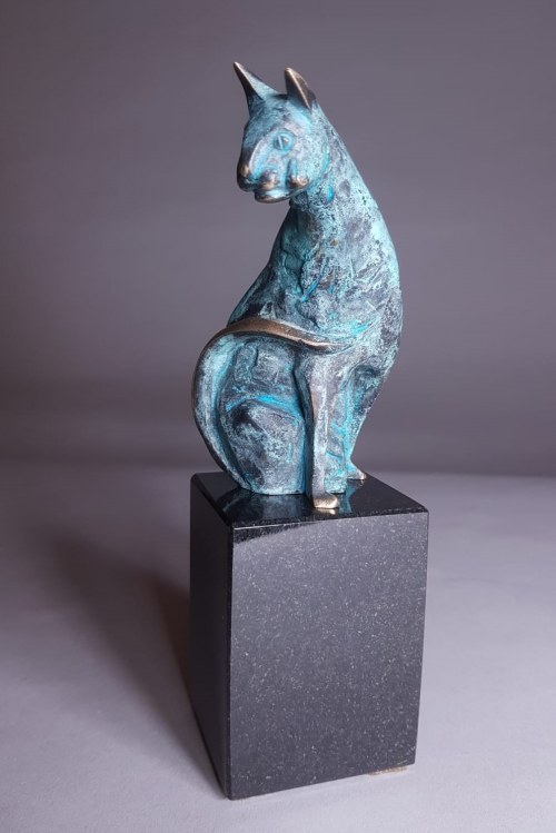 Kot, Robert Dyrcz