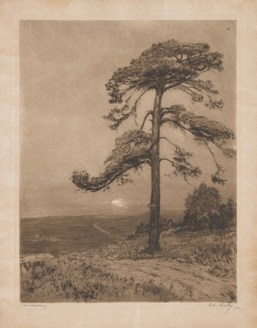 Samotna sosna, 1939, Kratky Richard