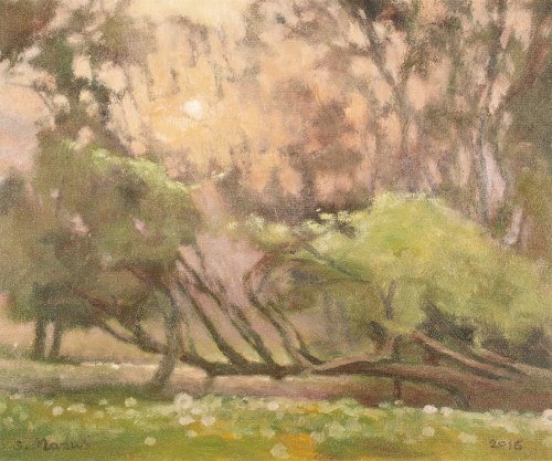Pokłon, 2016, Stanisław Mazuś
