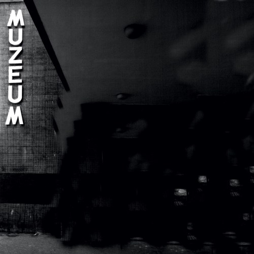 Muzeum nr 95, z cyklu: "Muzeum", 2008, Marta Leśniakowska