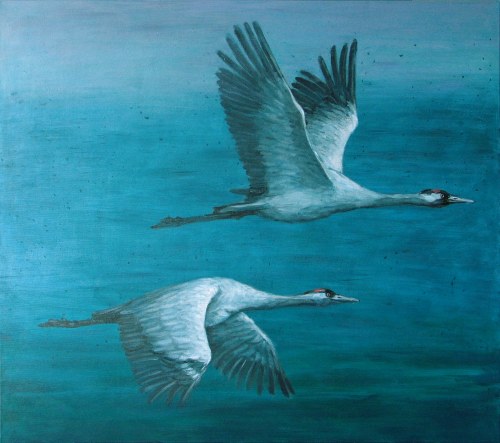 Żurawie, 2021r., Agnieszka Pikus
