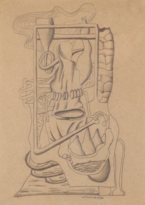 Historia naturalna skały, 1930, Marek Włodarski