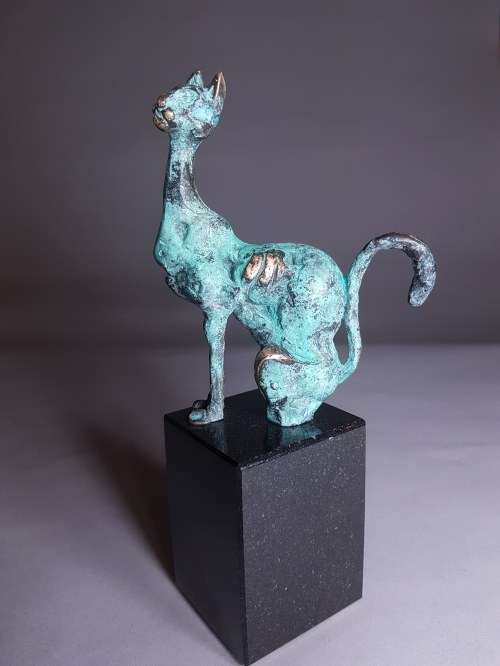 Kot, Robert Dyrcz