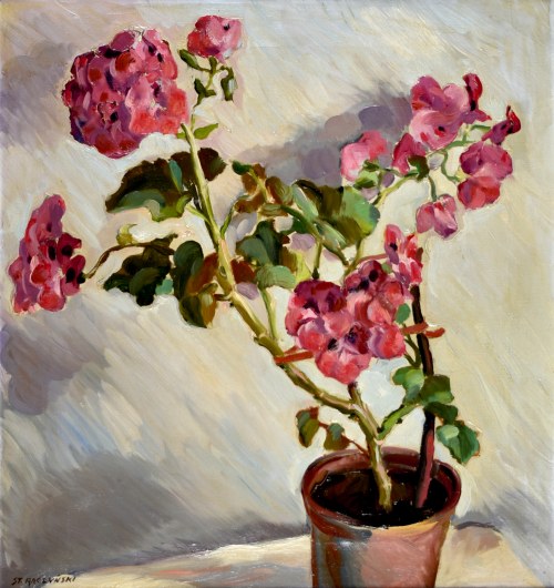 Pelargonie w doniczce, Stanisław Raczyński