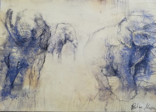 "Słonie", Paulina Mager