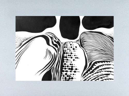 "Coincidenses D", Jan Astner