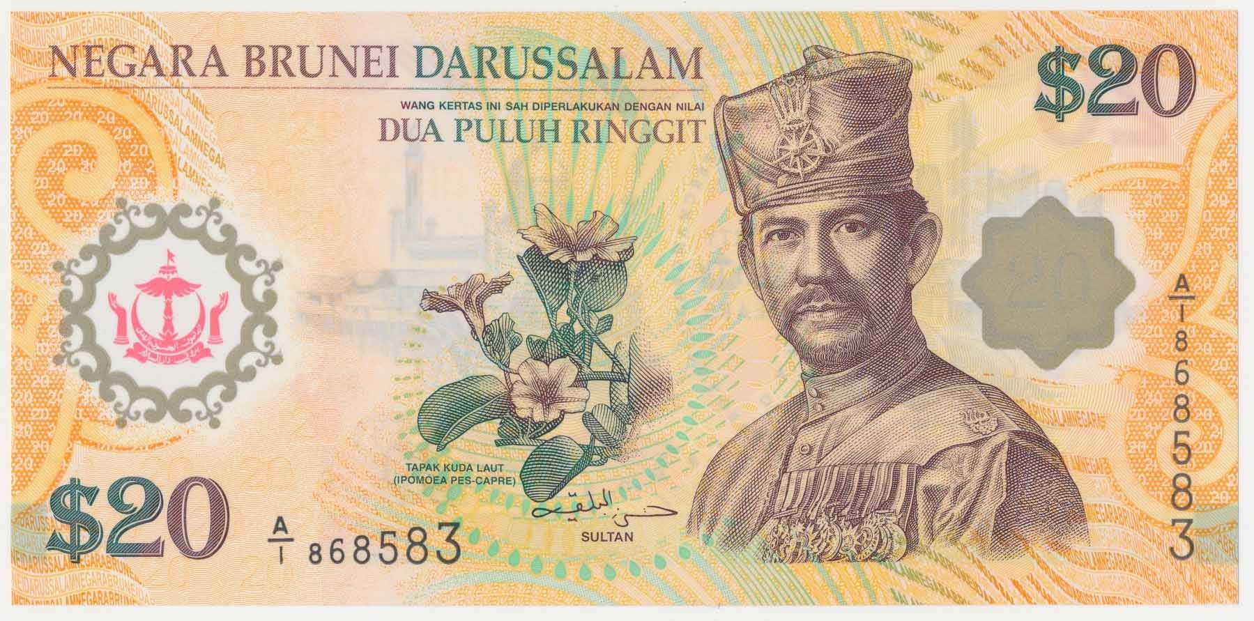 Brunei Darussalam, 20 Ringgit 2007 - Polymer - Online auction / Online  bidding - Price - OneBid