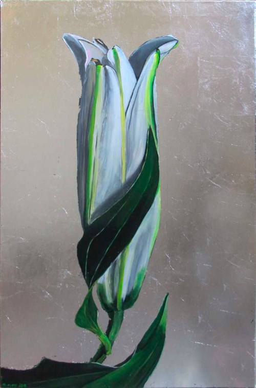 016A. Lilium, 2018, No Name