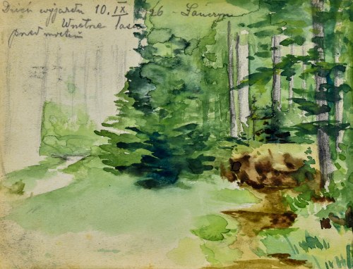 Wnętrze lasu, 1926, Kazimierz Chmurski