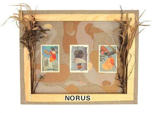1992, Norus, 2017, Nowacka Antonina