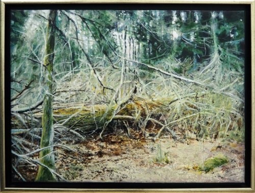 Białowieski, 2021 r., Anna Orzechowska