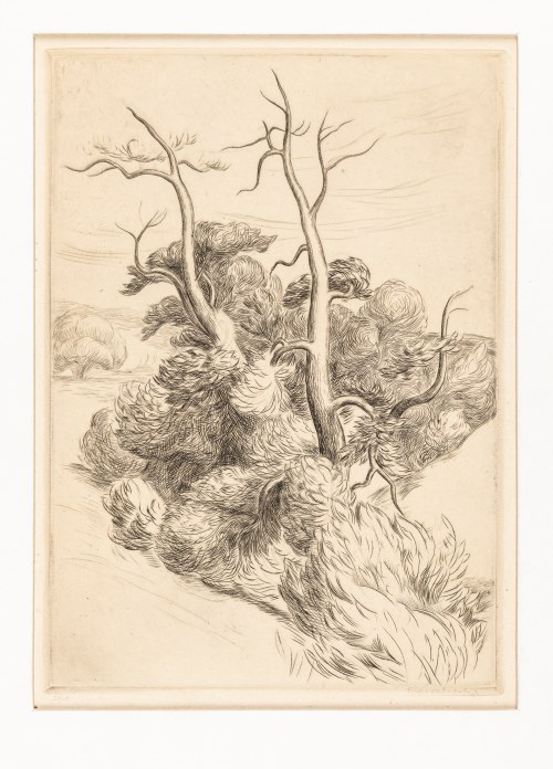 Drzewa w wąwozie, 1921, Franciszek Prochaska