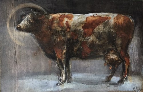 "Święta krowa", Paulina Mager