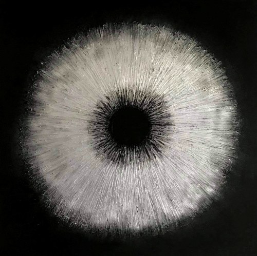 Dmuchawiec, 2021r., Aneta Napiórkowska