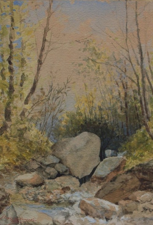 (1847-1907) Kamienny potok, Janusz Niedziałkowski