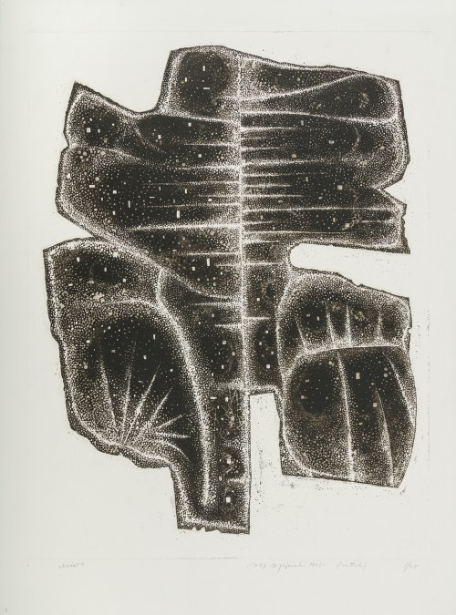 Kwiat, 1965, Mieczysław Majewski