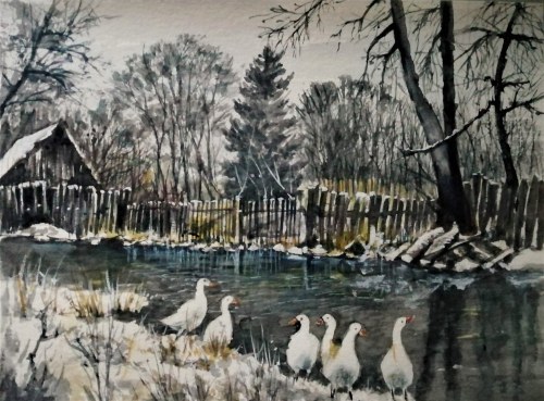 "Gąski", Grażyna Talarek