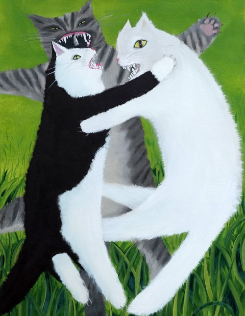 Wściekłe koty II, 2015, Karolina Jabłońska