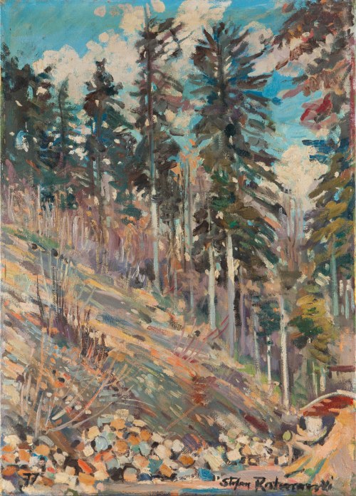 Wnętrze lasu, 1977, Stefan Rostworowski