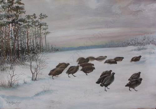 Kuropatwy na śniegu, J. Motyliński