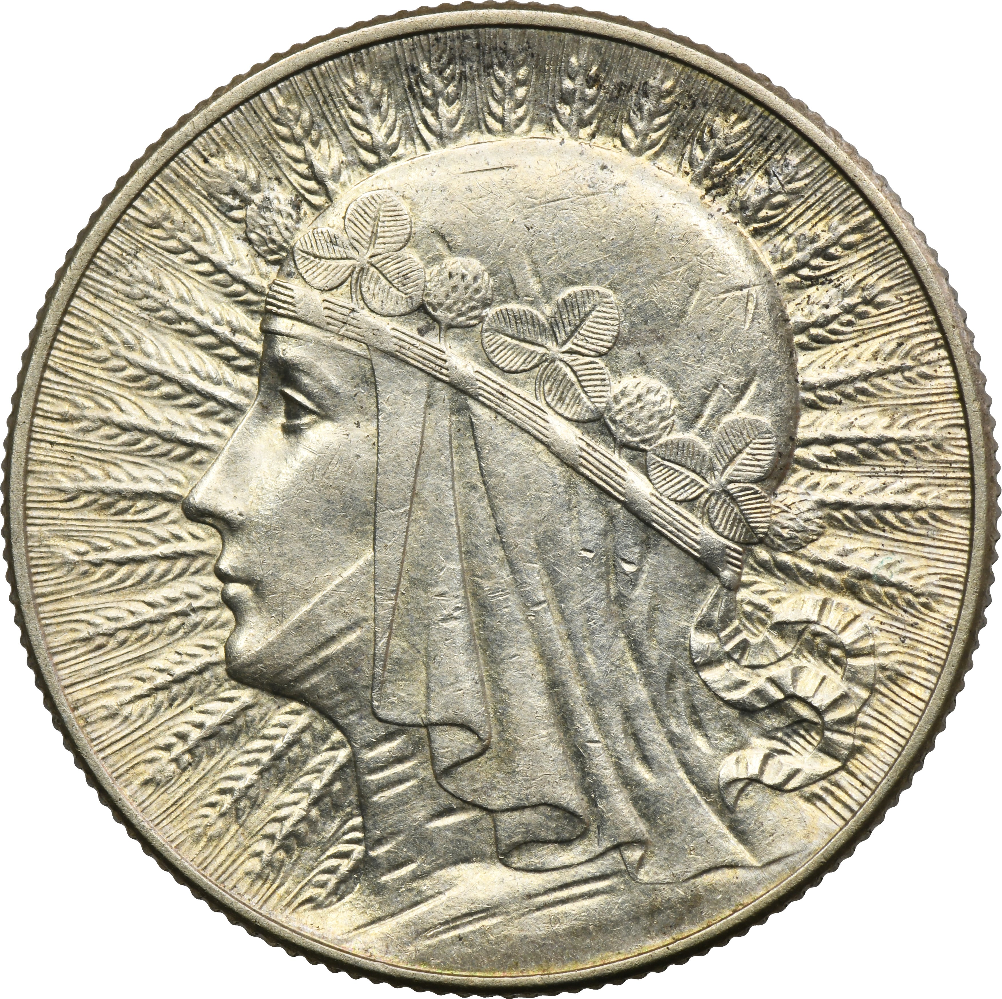 650 злотых. 1 злотый польша. 1000 злотых польша. 20 злотых в рублях. 50 злотых фото.